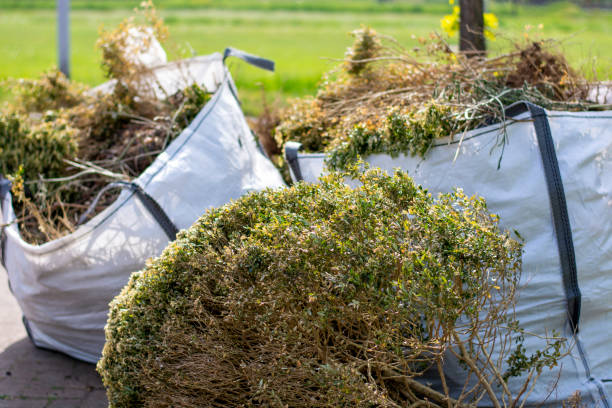 Best Construction Debris Removal  in Lake Montezuma, AZ