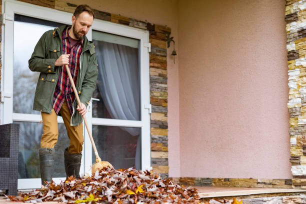 Best Basement Cleanout Services  in Lake Montezuma, AZ
